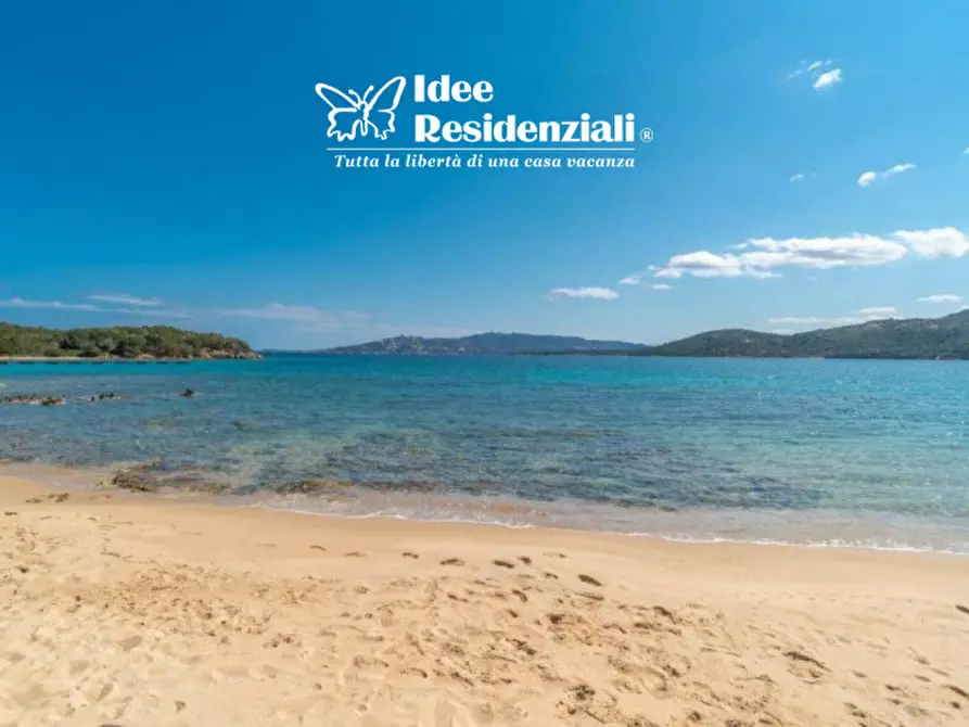 Immagine 26 di Villa in affitto  in porto mannu a Palau