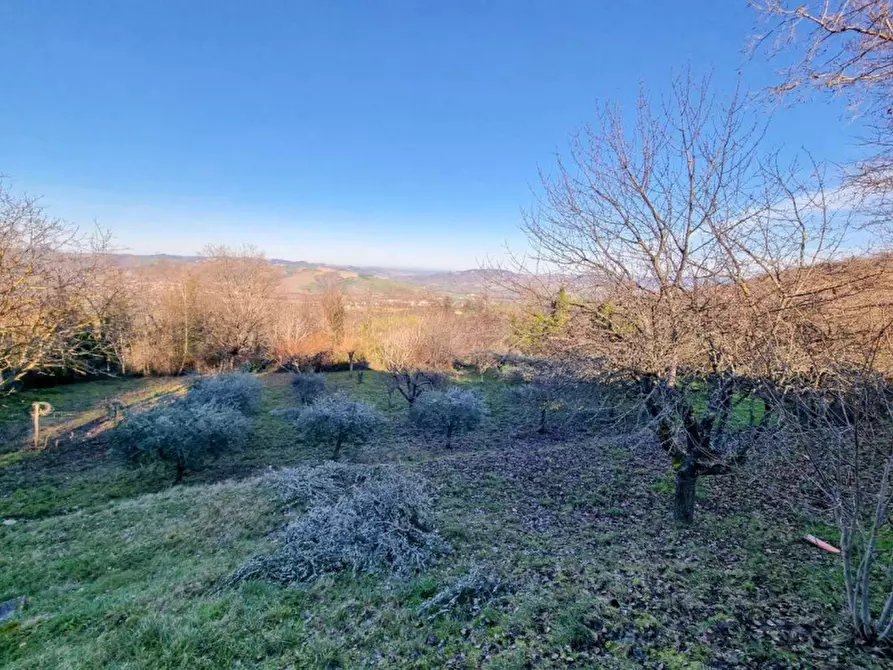 Immagine 24 di Casa indipendente in vendita  in località Castelcavallino a Urbino