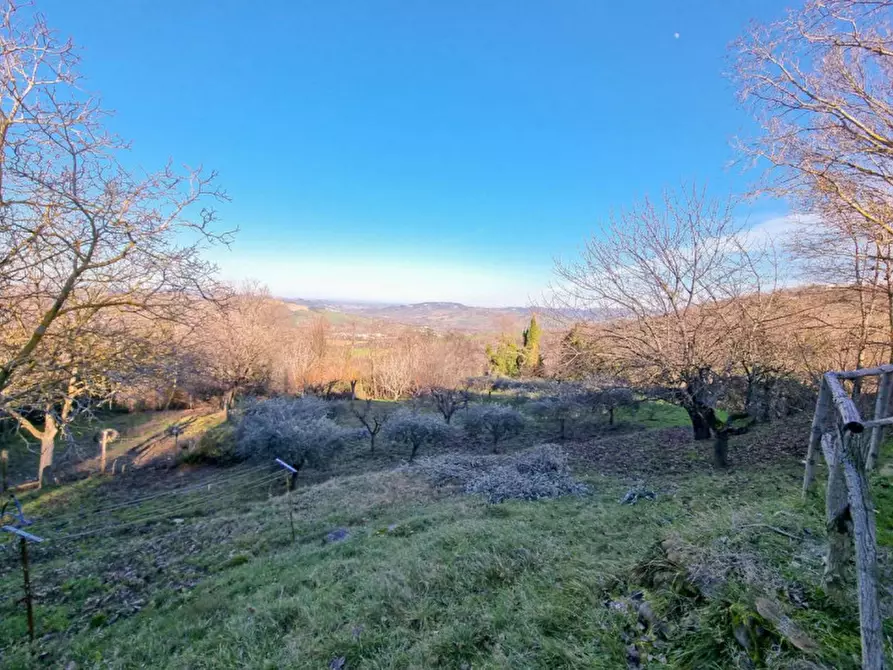 Immagine 25 di Casa indipendente in vendita  in località Castelcavallino a Urbino
