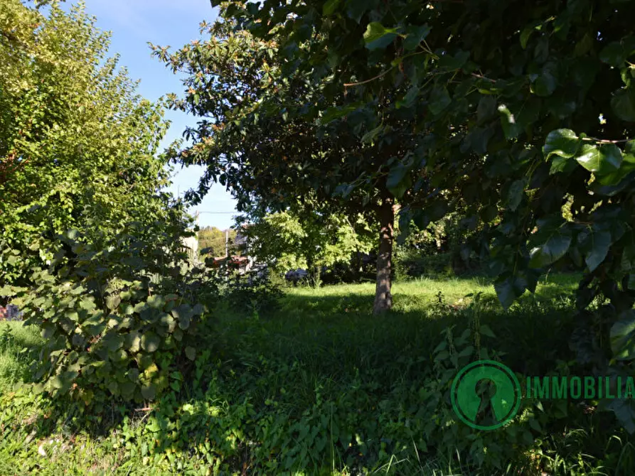 Immagine 18 di Casa indipendente in vendita  in Via Pegoraro 9 a Moruzzo