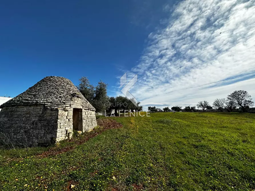 Immagine 1 di Terreno in vendita  a Martina Franca