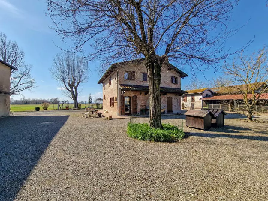 Immagine 6 di Rustico / casale in vendita  in Altedo a Malalbergo