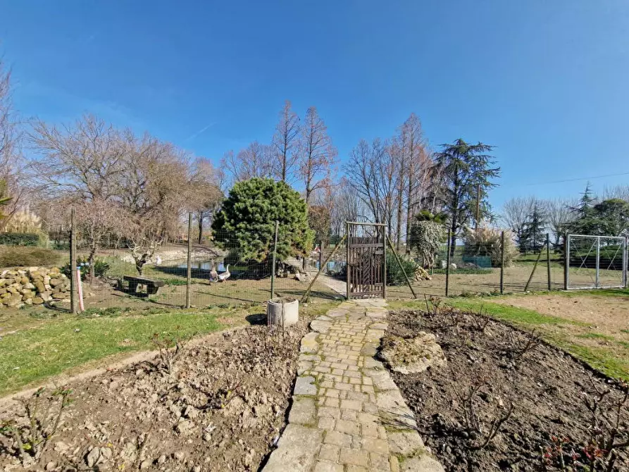 Immagine 28 di Rustico / casale in vendita  in Altedo a Malalbergo