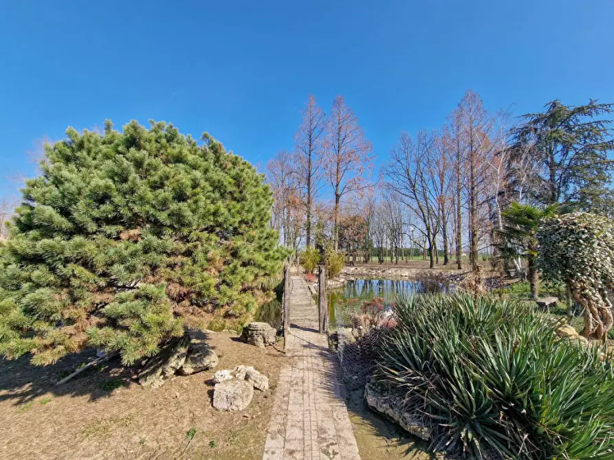 Immagine 29 di Rustico / casale in vendita  in Altedo a Malalbergo