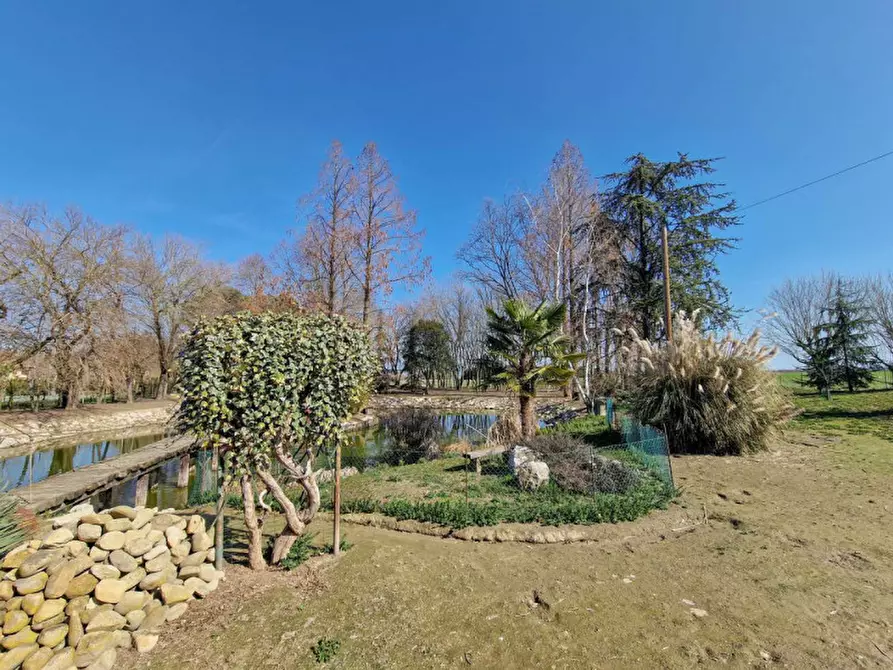 Immagine 31 di Rustico / casale in vendita  in Altedo a Malalbergo