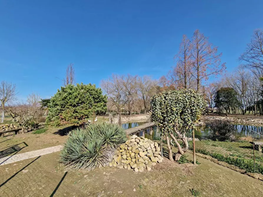 Immagine 32 di Rustico / casale in vendita  in Altedo a Malalbergo