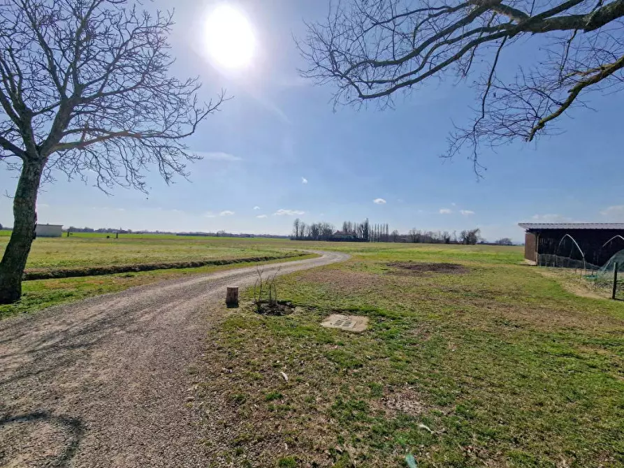 Immagine 34 di Rustico / casale in vendita  in Altedo a Malalbergo