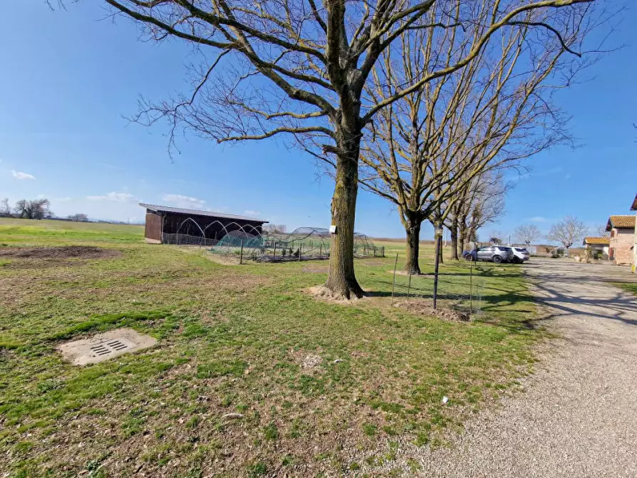 Immagine 35 di Rustico / casale in vendita  in Altedo a Malalbergo