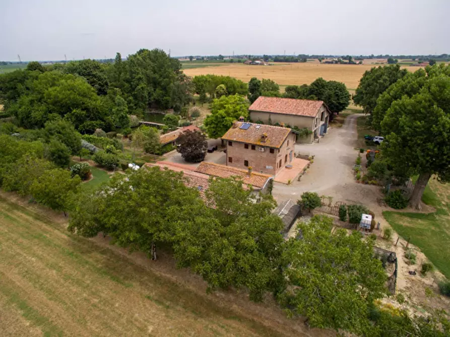 Immagine 38 di Rustico / casale in vendita  in Altedo a Malalbergo