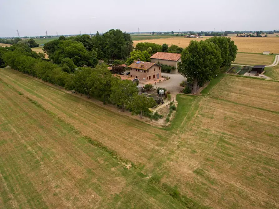 Immagine 39 di Rustico / casale in vendita  in Altedo a Malalbergo