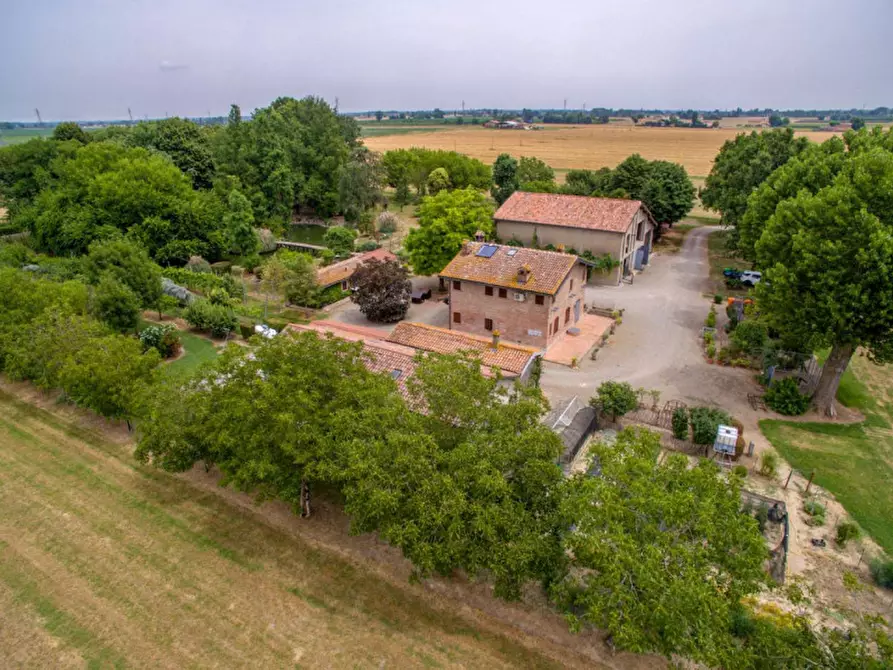 Immagine 40 di Rustico / casale in vendita  in Altedo a Malalbergo