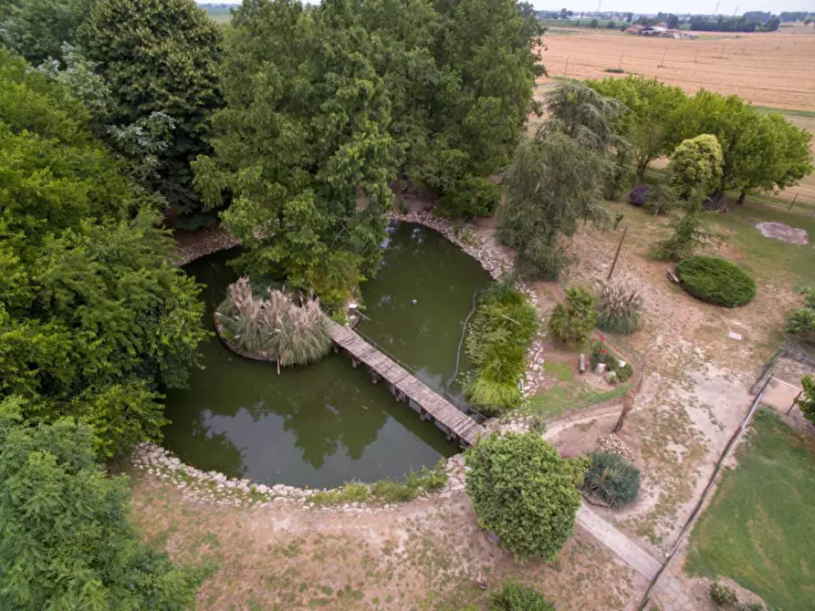 Immagine 41 di Rustico / casale in vendita  in Altedo a Malalbergo