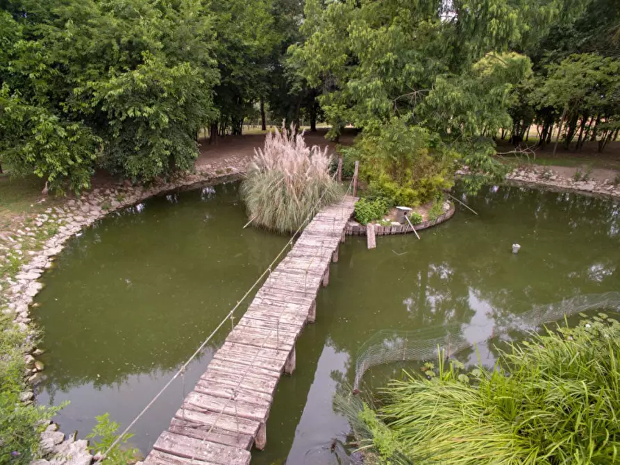 Immagine 42 di Rustico / casale in vendita  in Altedo a Malalbergo