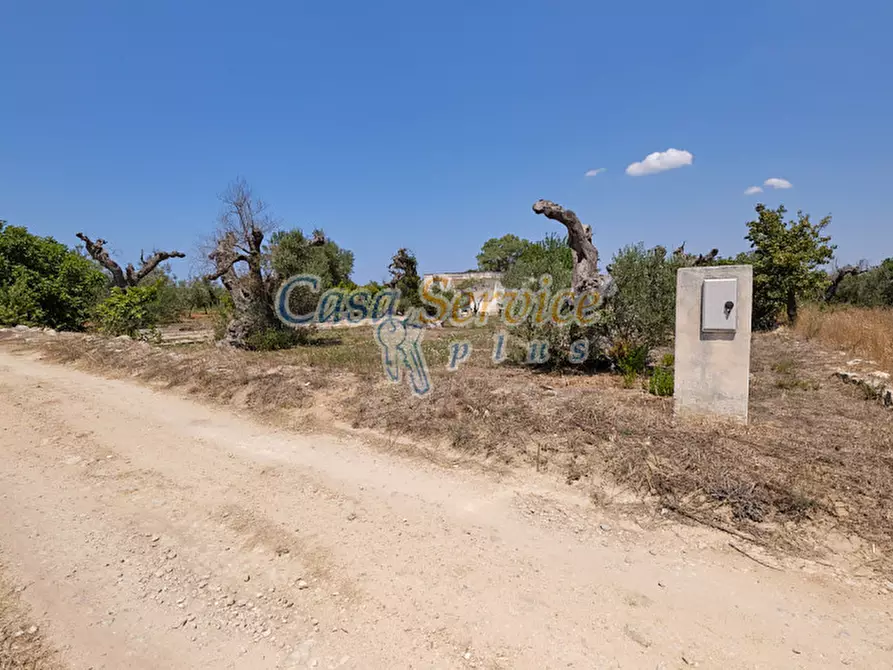 Immagine 3 di Casa indipendente in vendita  in Masseria Li Foggi a Gallipoli