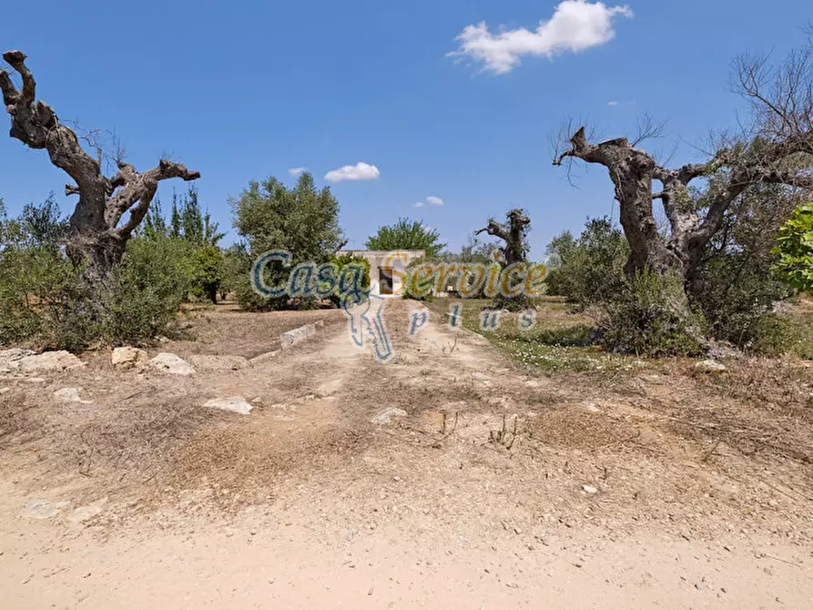Immagine 4 di Casa indipendente in vendita  in Masseria Li Foggi a Gallipoli