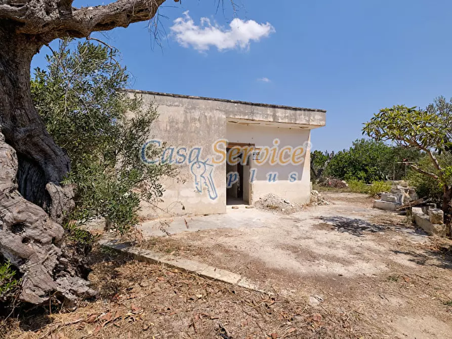 Immagine 6 di Casa indipendente in vendita  in Masseria Li Foggi a Gallipoli