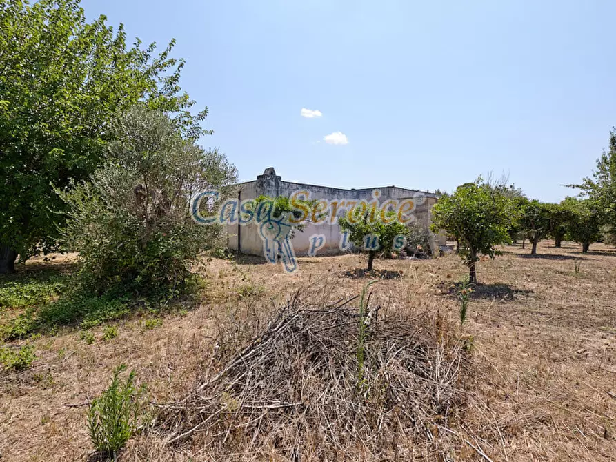 Immagine 8 di Casa indipendente in vendita  in Masseria Li Foggi a Gallipoli