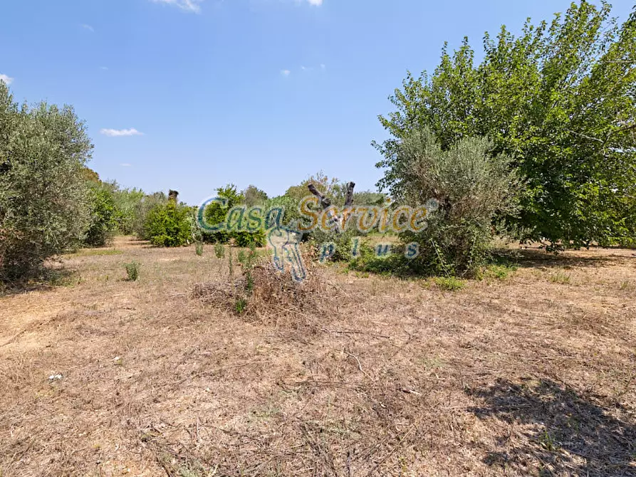 Immagine 9 di Casa indipendente in vendita  in Masseria Li Foggi a Gallipoli