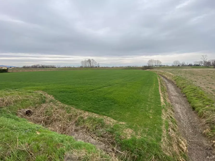 Immagine 2 di Terreno in vendita  in Via San Zeno a Veggiano