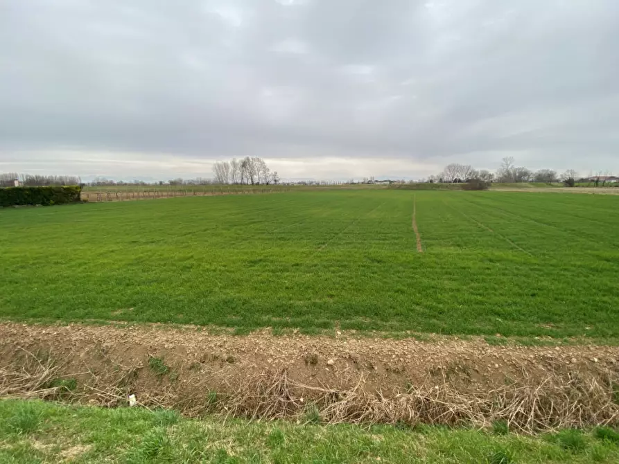 Immagine 3 di Terreno in vendita  in Via San Zeno a Veggiano