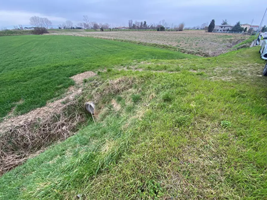 Immagine 4 di Terreno in vendita  in Via San Zeno a Veggiano