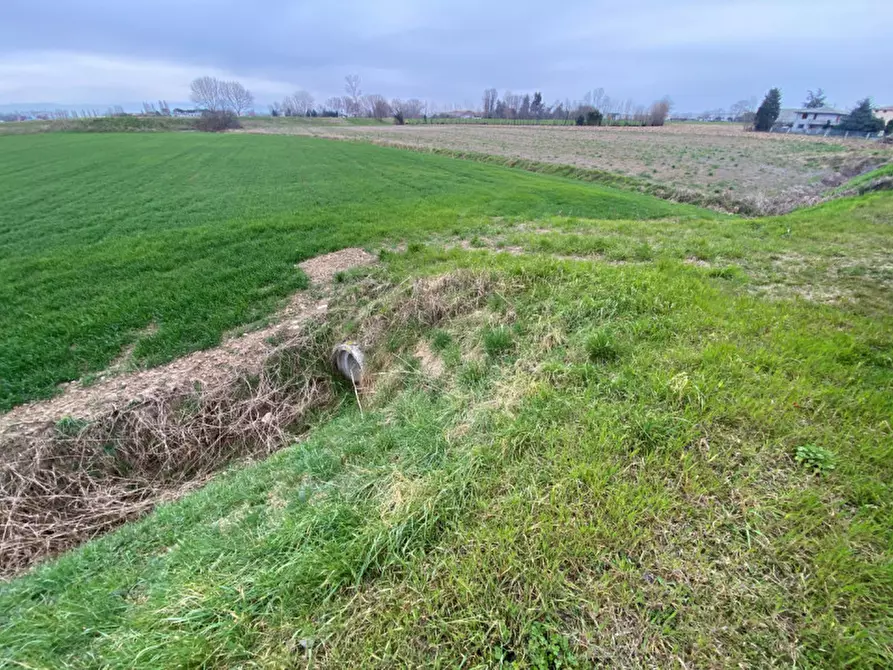 Immagine 5 di Terreno in vendita  in Via San Zeno a Veggiano