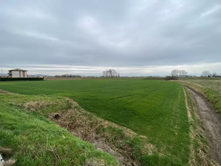 Immagine 6 di Terreno in vendita  in Via San Zeno a Veggiano