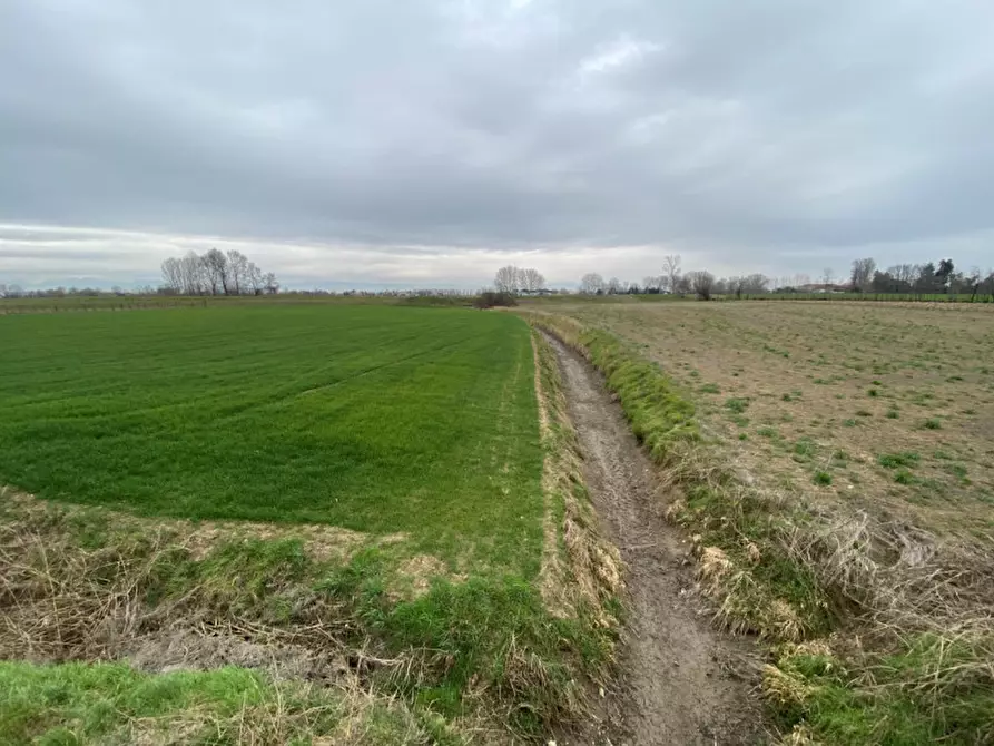 Immagine 7 di Terreno in vendita  in Via San Zeno a Veggiano