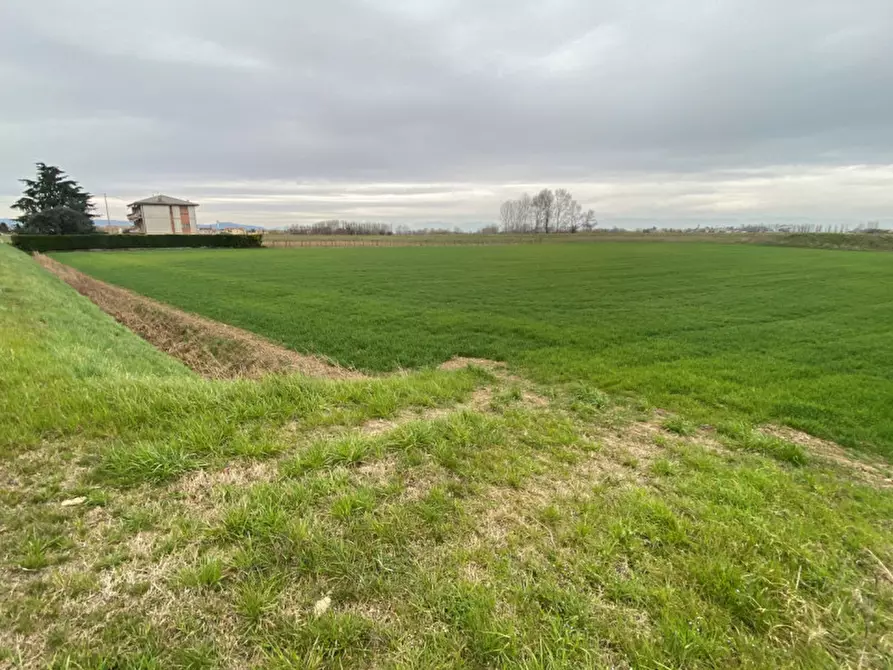 Immagine 8 di Terreno in vendita  in Via San Zeno a Veggiano