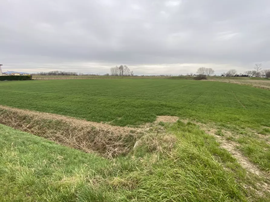 Immagine 9 di Terreno in vendita  in Via San Zeno a Veggiano