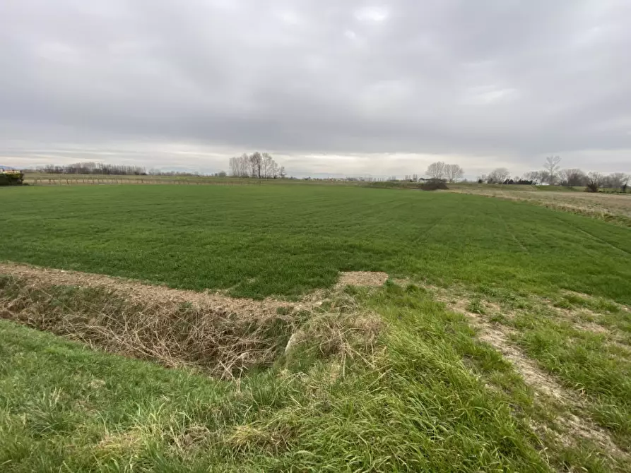 Immagine 10 di Terreno in vendita  in Via San Zeno a Veggiano