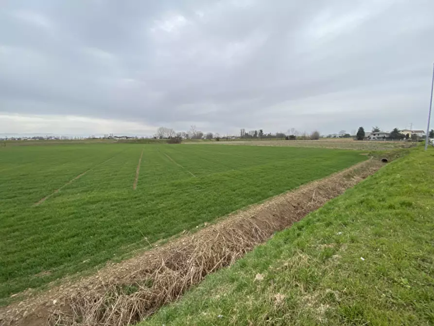 Immagine 11 di Terreno in vendita  in Via San Zeno a Veggiano