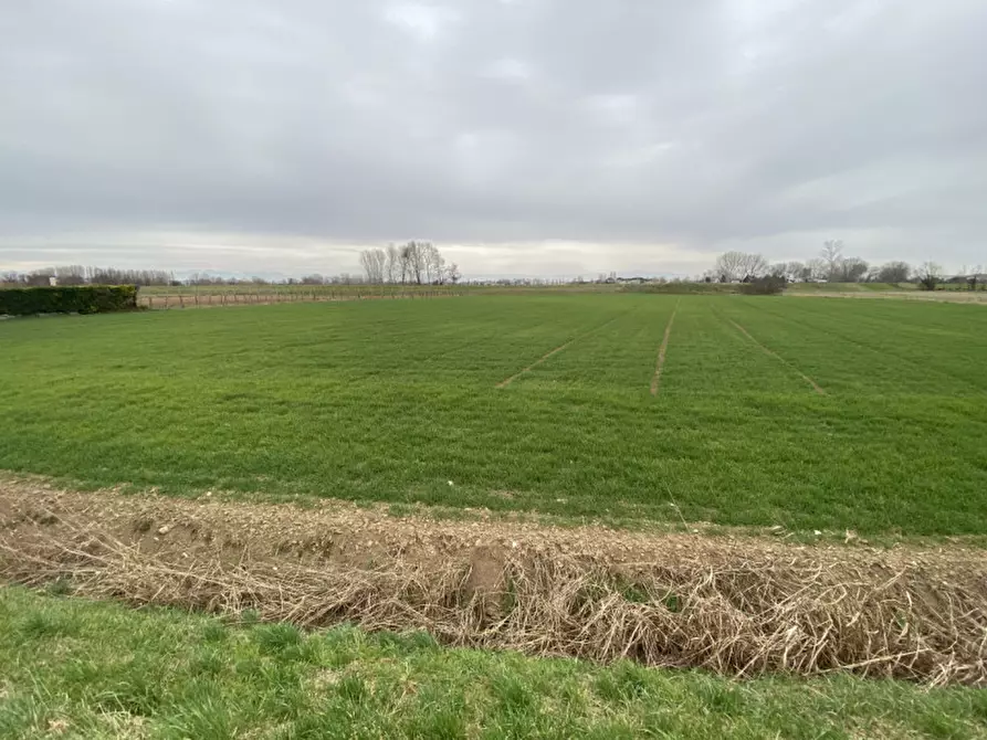 Immagine 12 di Terreno in vendita  in Via San Zeno a Veggiano