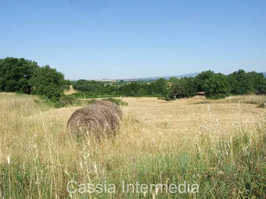 Immagine 1 di Rustico / casale in vendita  in Via del  Cerro 102 a Nepi