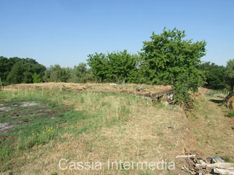 Immagine 3 di Rustico / casale in vendita  in Via del  Cerro 102 a Nepi