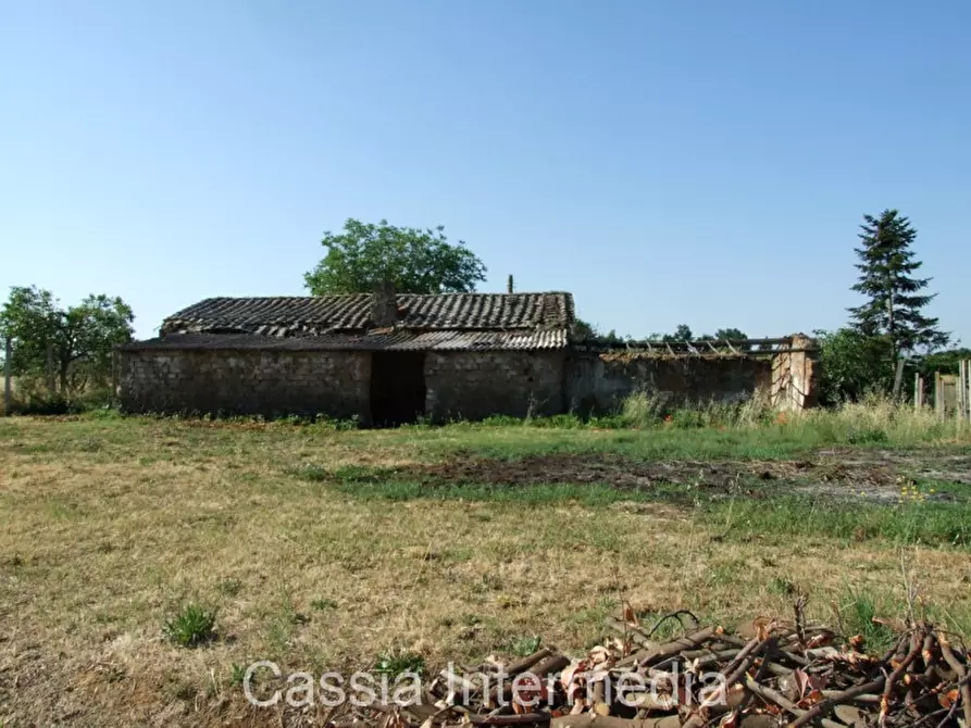 Immagine 4 di Rustico / casale in vendita  in Via del  Cerro 102 a Nepi