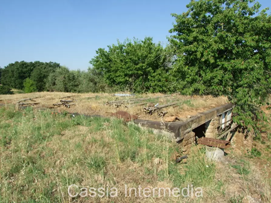 Immagine 7 di Rustico / casale in vendita  in Via del  Cerro 102 a Nepi