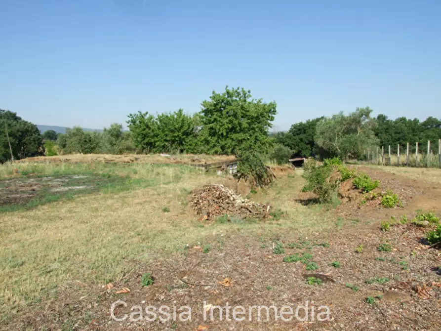 Immagine 11 di Rustico / casale in vendita  in Via del  Cerro 102 a Nepi