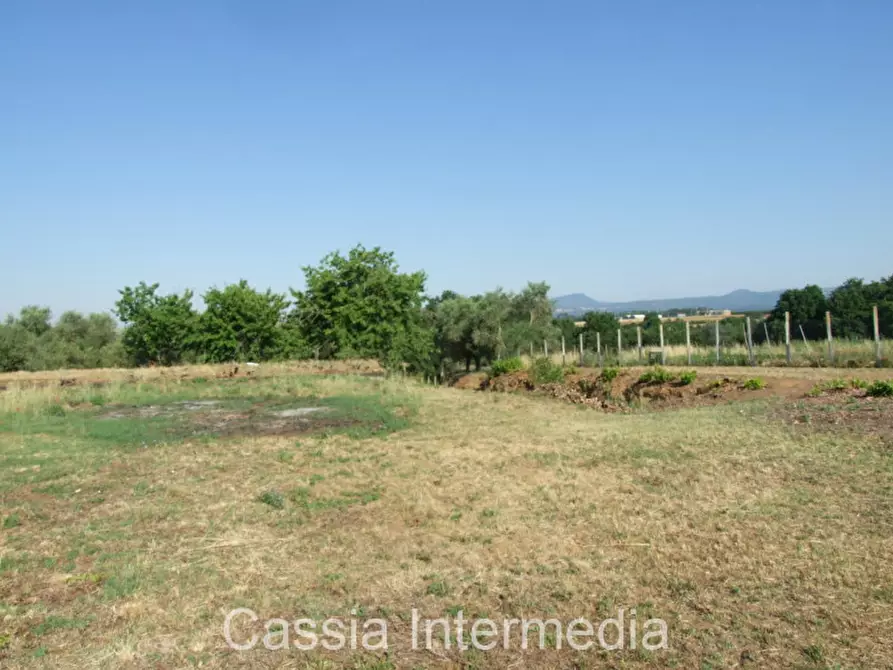 Immagine 12 di Rustico / casale in vendita  in Via del  Cerro 102 a Nepi