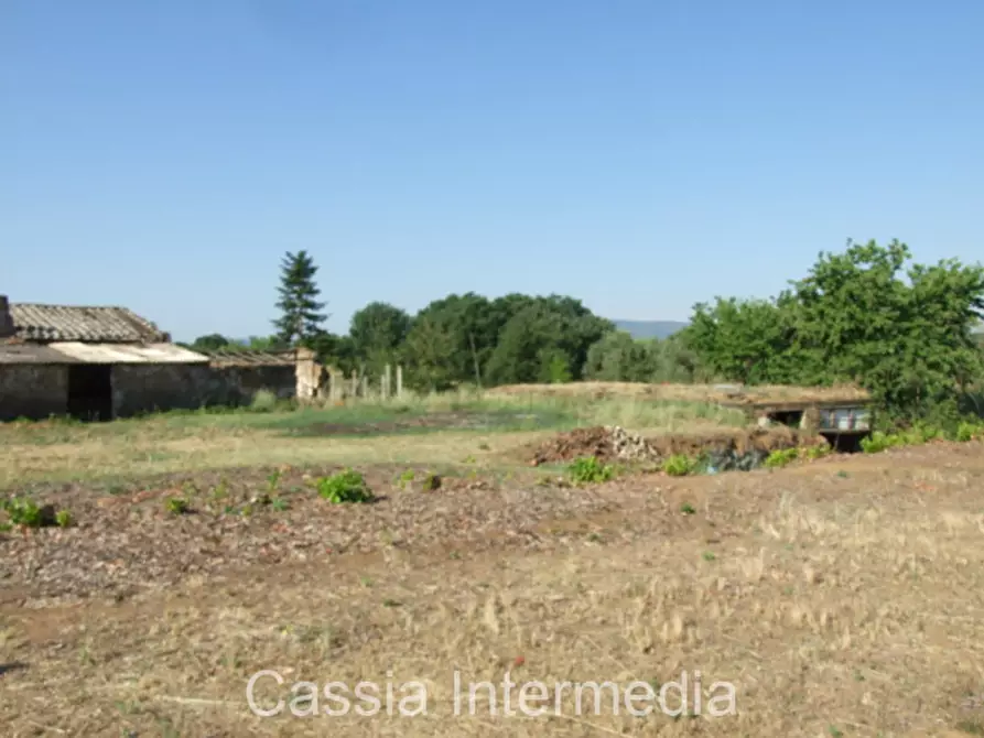 Immagine 13 di Rustico / casale in vendita  in Via del  Cerro 102 a Nepi