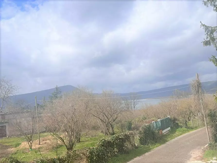 Immagine 2 di Attività commerciale in vendita  in VIA CASSIA CIMINA a Ronciglione