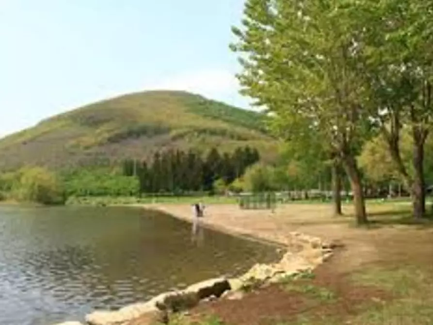 Immagine 3 di Attività commerciale in vendita  in VIA CASSIA CIMINA a Ronciglione