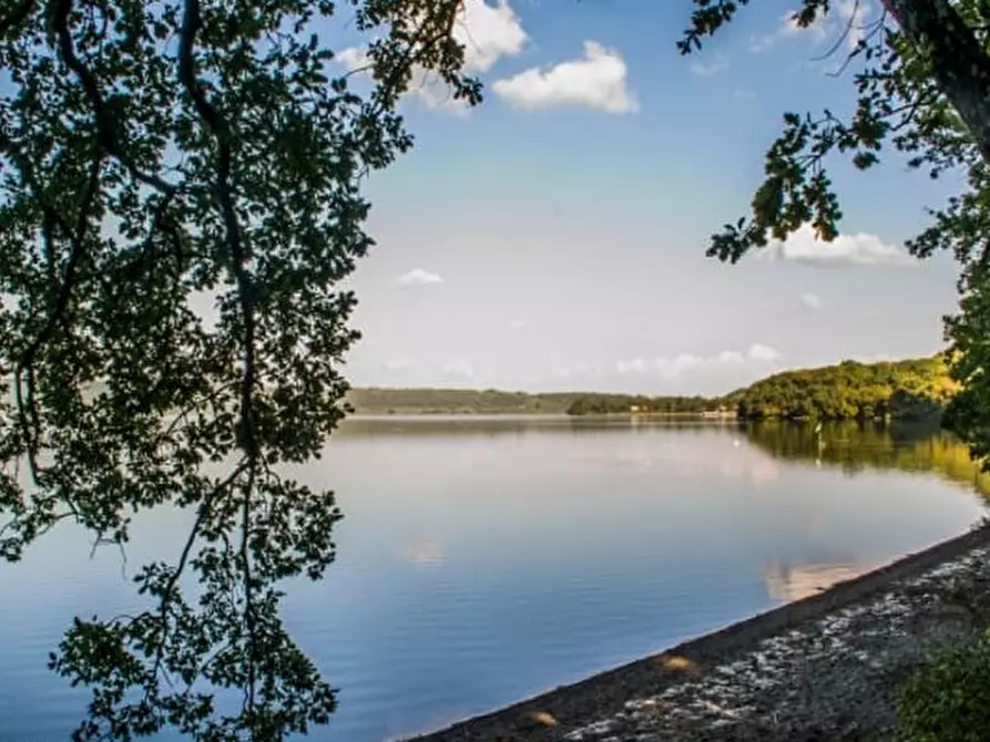 Immagine 5 di Attività commerciale in vendita  in VIA CASSIA CIMINA a Ronciglione