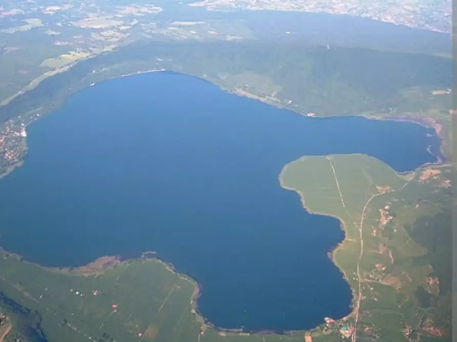 Immagine 7 di Attività commerciale in vendita  in VIA CASSIA CIMINA a Ronciglione