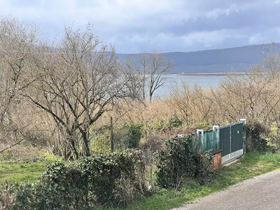 Immagine 10 di Attività commerciale in vendita  in VIA CASSIA CIMINA a Ronciglione