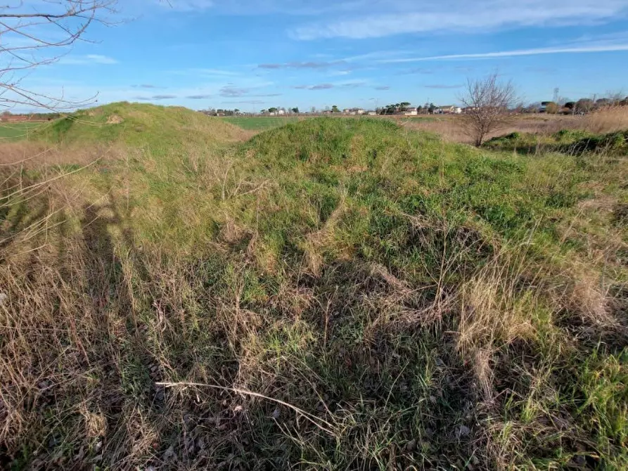 Immagine 1 di Terreno in vendita  in Via Erbosa, N. snc a Forli'