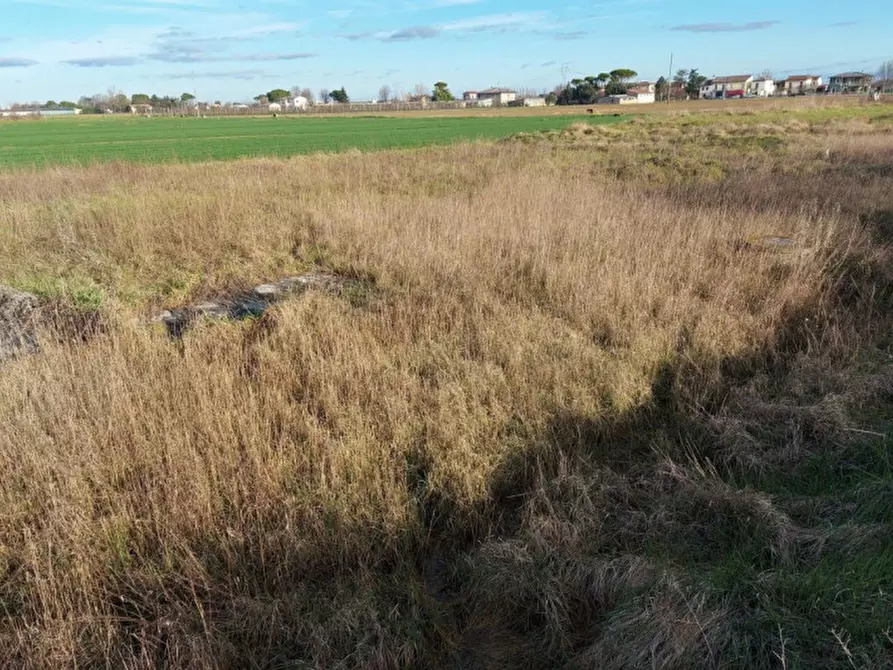 Immagine 1 di Terreno in vendita  in Via Erbosa, N. snc a Forli'