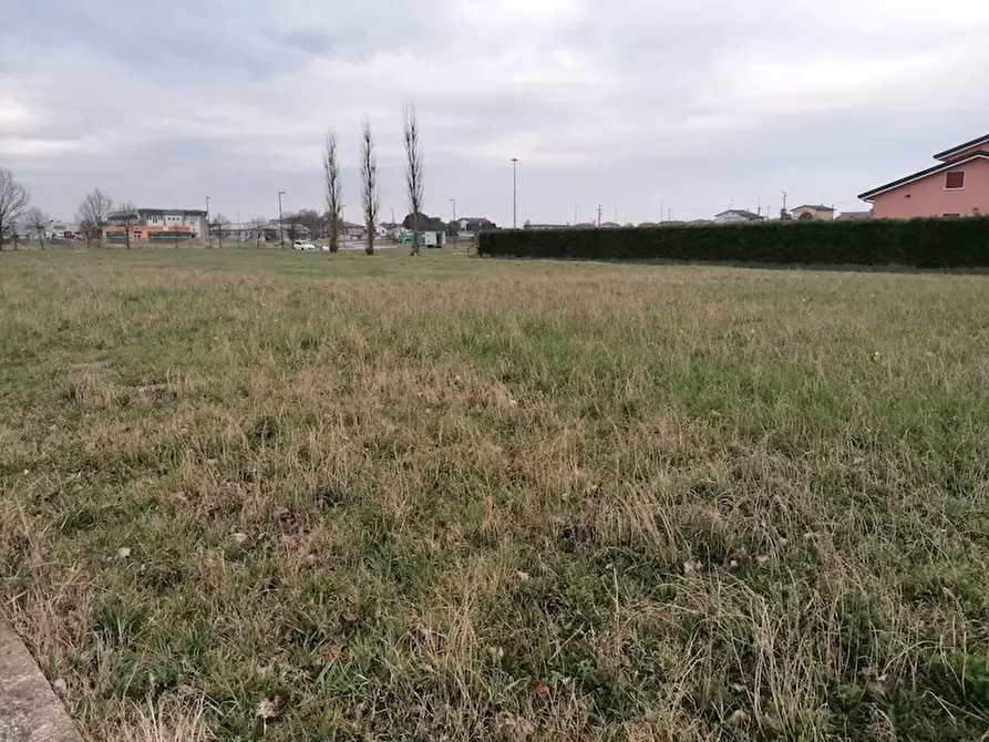 Immagine 2 di Terreno in vendita  a Campolongo Maggiore