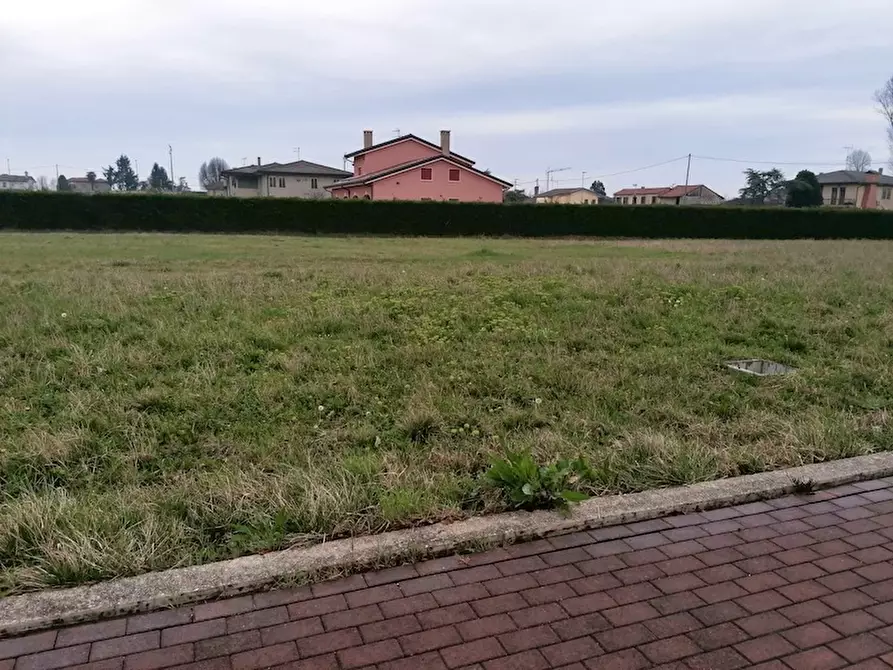 Immagine 3 di Terreno in vendita  a Campolongo Maggiore
