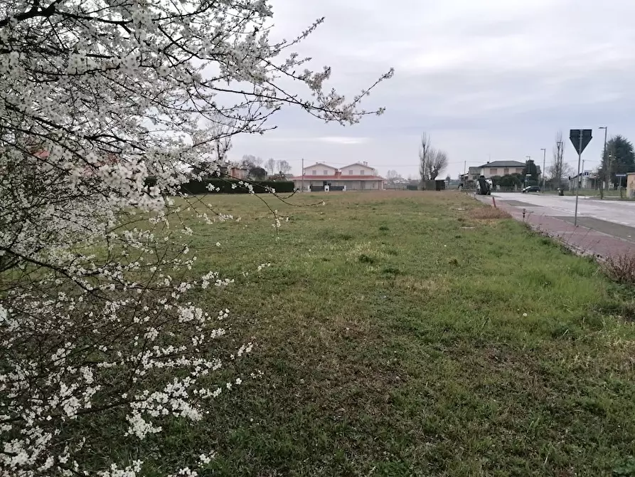 Immagine 2 di Terreno in vendita  a Campolongo Maggiore